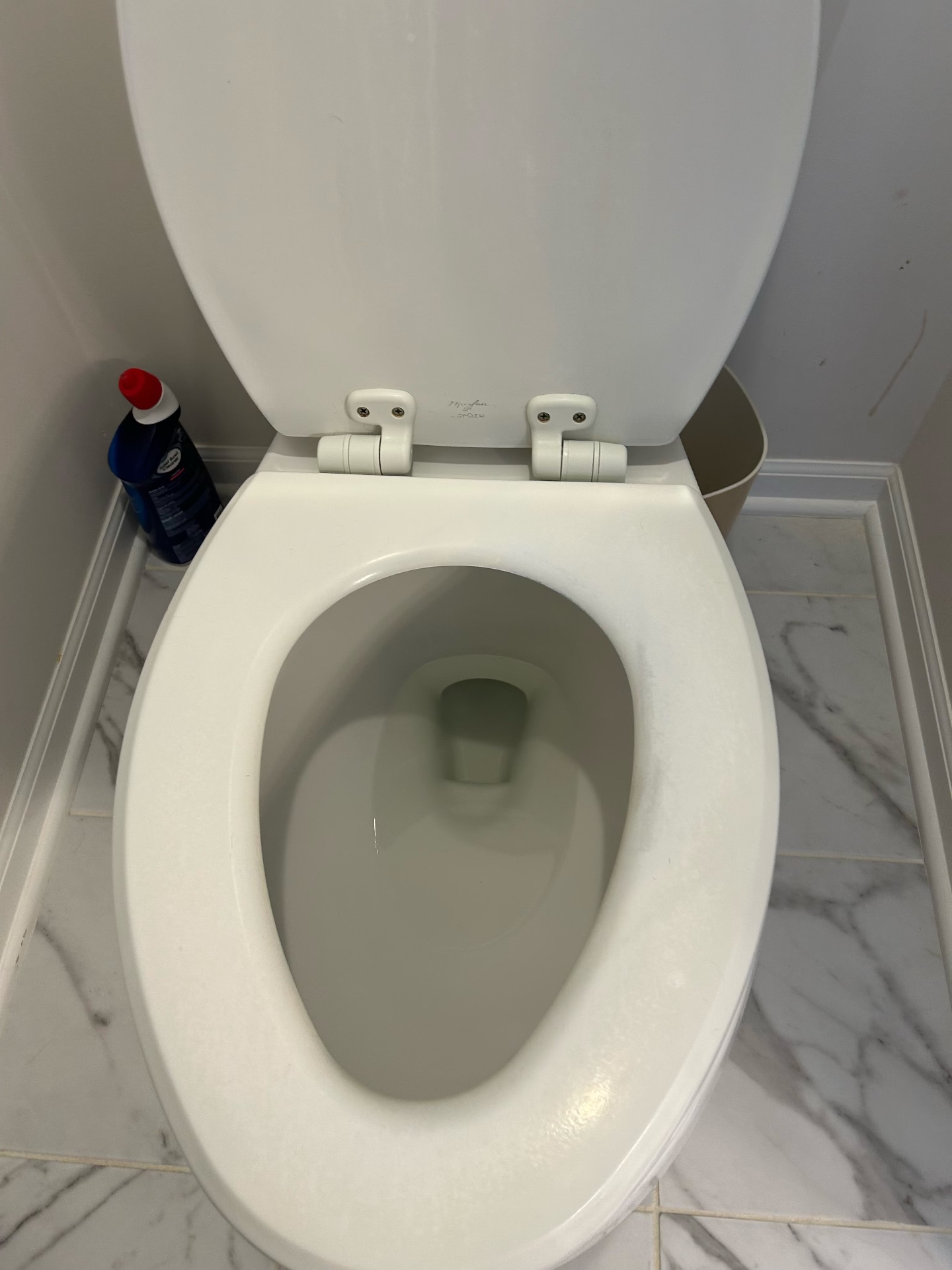 Toilet before