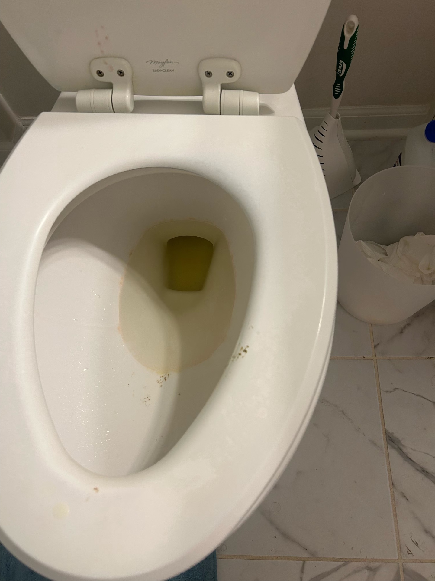 Toilet after